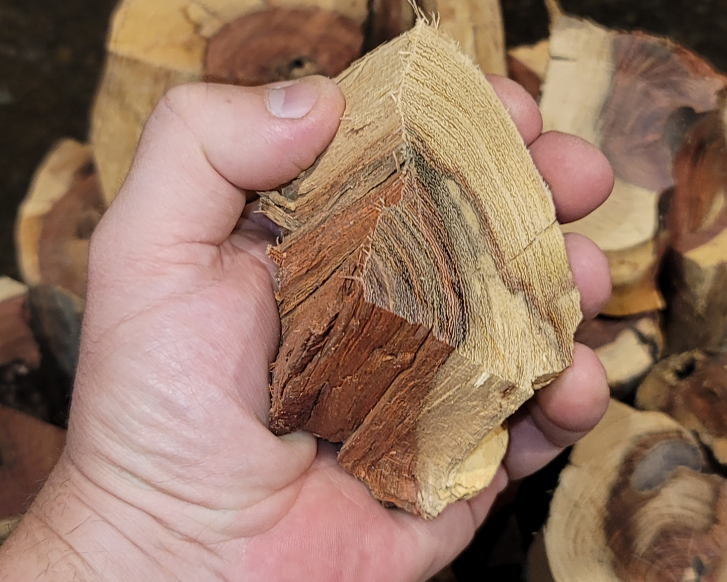 2" to 3" Camelthorn smoker chunks 10 lbs box