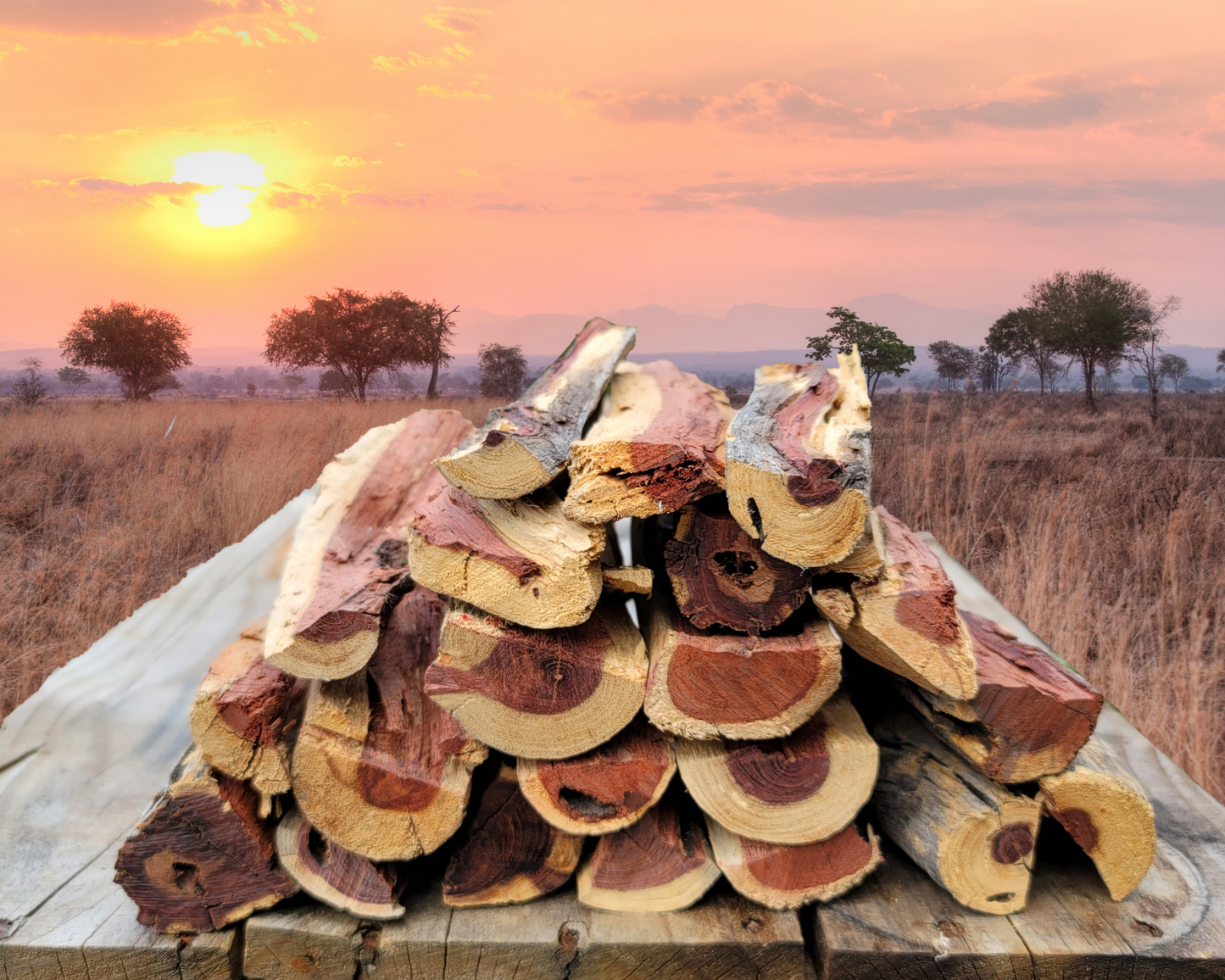 11" to 12" Camelthorn Cooking Wood splits (Braai hout)