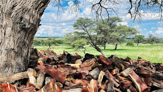 Bulk Order - 20 bags